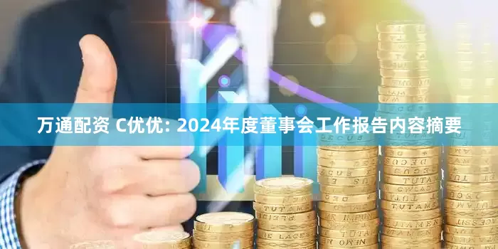 万通配资 C优优: 2024年度董事会工作报告内容摘要